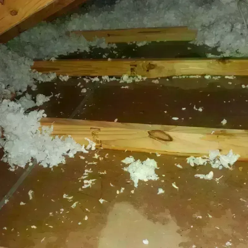 Attic Water Damage in Carrington, ND